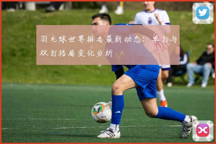 羽毛球世界排名最新动态：单打与双打格局变化分析