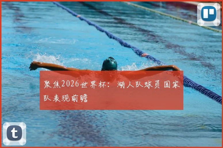 聚焦2026世界杯:湖人队球员国家队表现前瞻